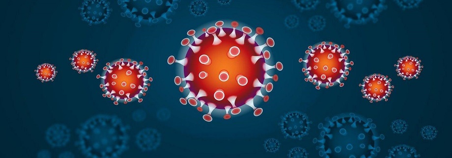 Immagine Coronavirus
